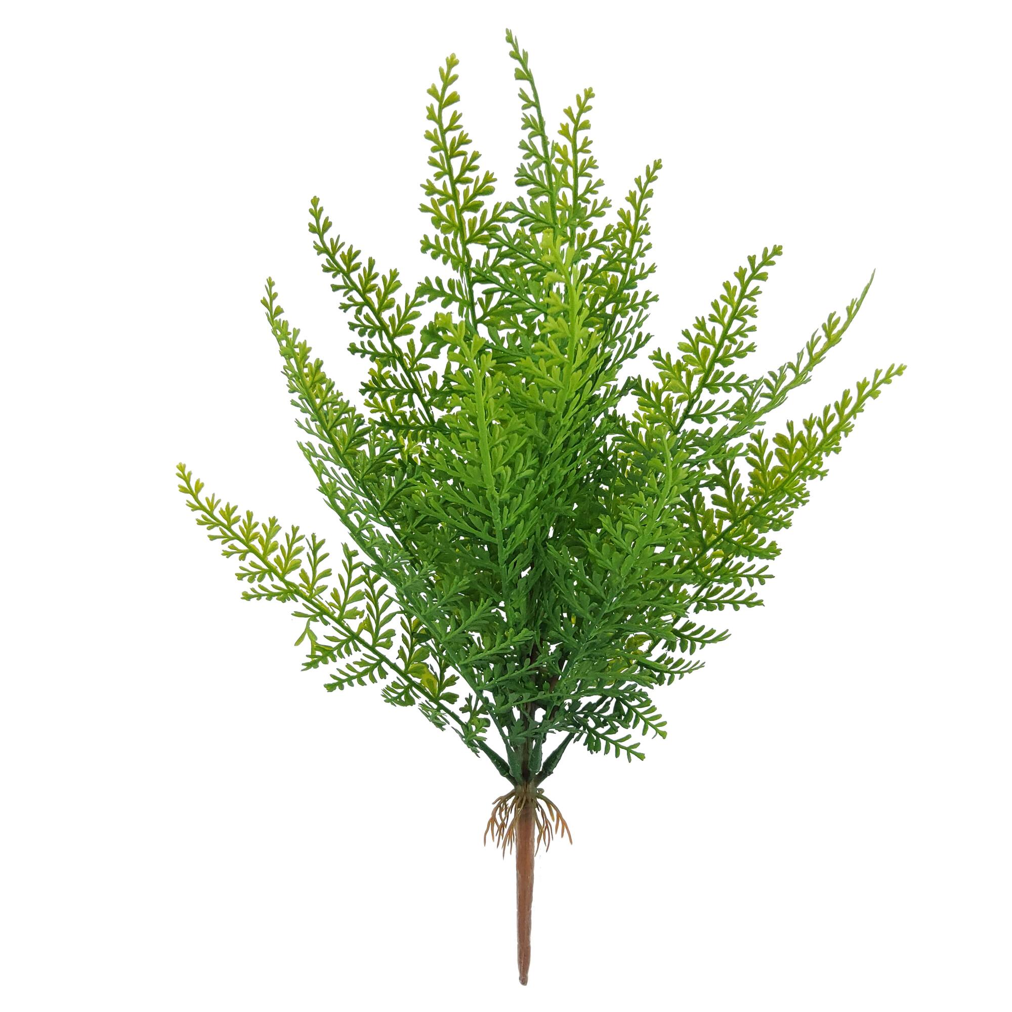 16" Coral Fern by Ashland®